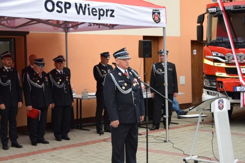 Zdjęcie - 