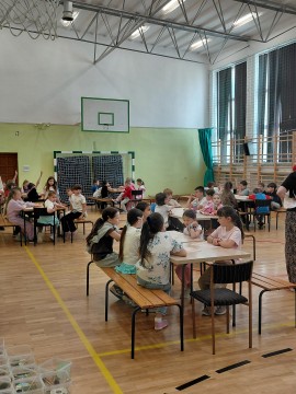 Zdjęcie - 