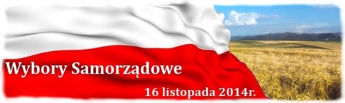 Wyniki wyborów samorządowych