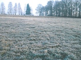 Ogłoszenie o publicznych przetargach ustnych